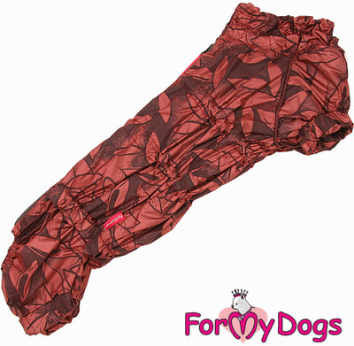 ForMyDogs       ()