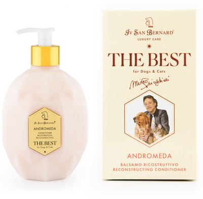 Iv San Bernard The Best line Andromeda           ()