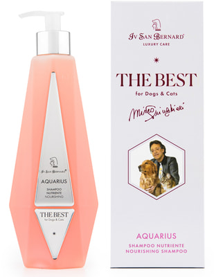 Iv San Bernard The Best line Aquarius           ()