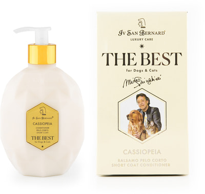 Iv San Bernard The Best line Cassiopeia        ()