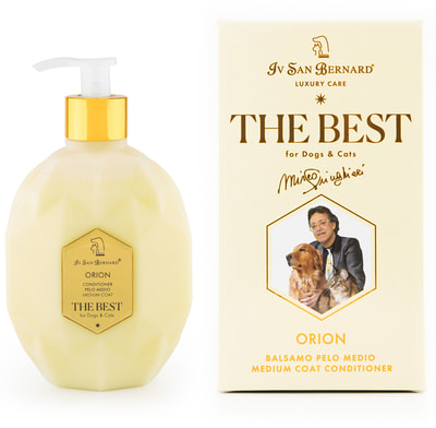 Iv San Bernard The Best line Orion        ()
