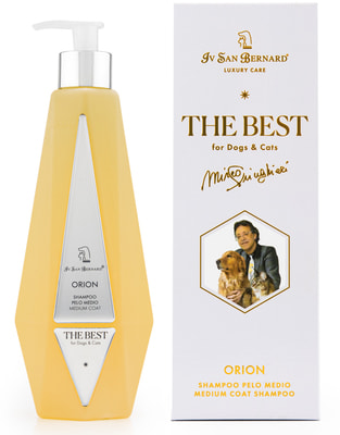 Iv San Bernard The Best line Orion        ()