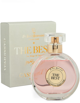 Iv San Bernard The Best line Cassiopeia  ()