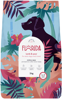   FLORIDA          ()