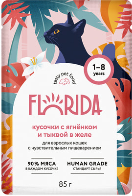 FLORIDA ����� ��� �������� ����� � �������������� ������������: ������� � �������� � ������ � ���� (����)