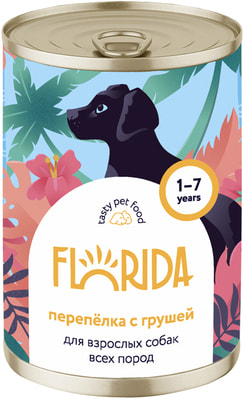  FLORIDA      ()