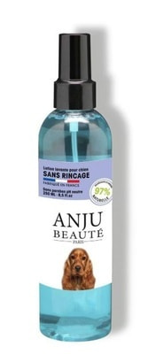 Anju Beaute      