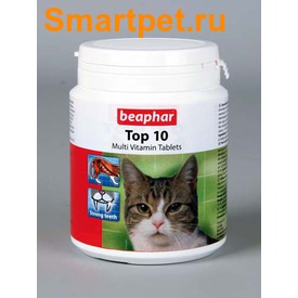BEAPHAR Top 10 For Cats -    ,  