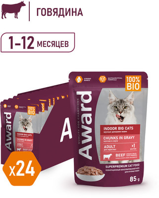 Award ������� ���� Indoor big cats ��� �������� �������� ����� ������� ����� ������� � ����� � ��������� (����)