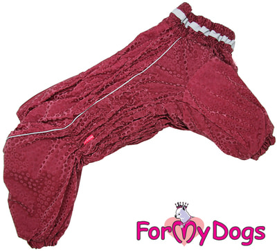 ForMyDogs          ()