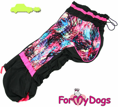 ForMyDogs    - /   ()