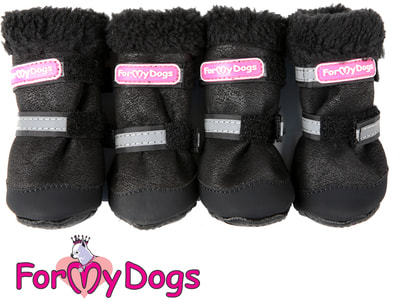 ForMyDogs           ()