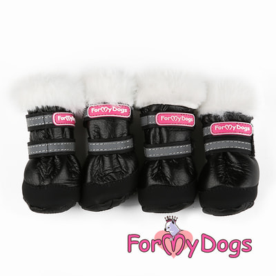 ForMyDogs         /  ()