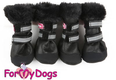 ForMyDogs           ()