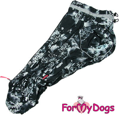 ForMyDogs     - /   ()