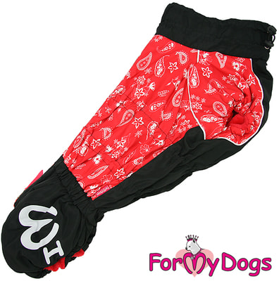 ForMyDogs    - /   ()