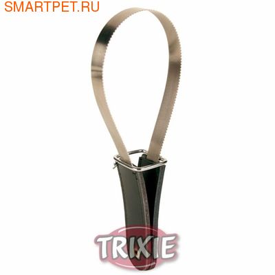 Trixie   299 