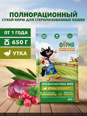 ����� ���� ����� ���� Ը���� ��� �������� ��������������� ����� � ����� (����)