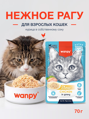 Wanpy Cat Дополнительный консервированный корм пауч для кошек курица в собственному соку Wanpy Cat Дополнительный консервированный корм пауч для кошек курица в собственному соку (фото)