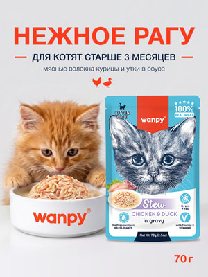 Wanpy Cat �������������� ���������������� ���� ���� ��� ����� ������ ���� �� ������ � ���� (����)