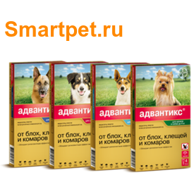Bayer Адвантикс - Капли для собак от блох и клещей 4 пипетки