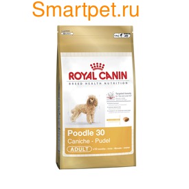 Royal Canin     10  - Poodle Adult