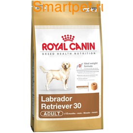 Royal Canin      - Labrador Retriever Adult