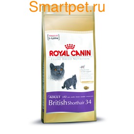 Royal Canin Корм для британской короткошерстной. British Shorthair 34