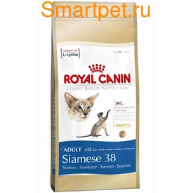 Royal Canin      12  - Siamese 38