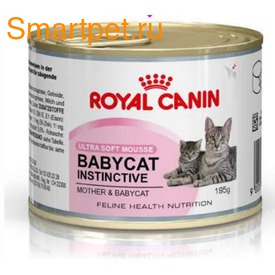 Royal Canin     4 . Babycat Instinctive
