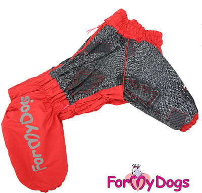 ForMyDogs     /  ,  ()