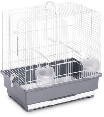My Pets Solutions    ALFA