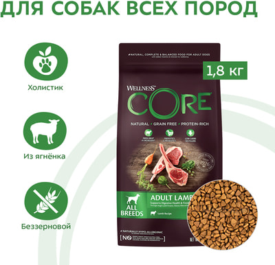   CORE          ()