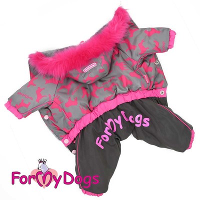 ForMyDogs ���������� ������ �� ������� ������� ����-������� � ��������� (����)