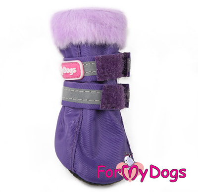 ForMyDogs      ,   ()