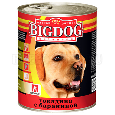   Big Dog      