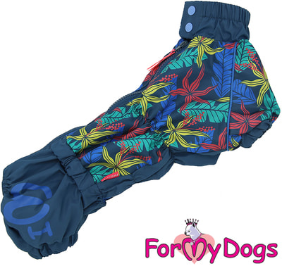 ForMyDogs         ()