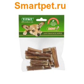 TiTBiT   -  