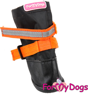 ForMyDogs    -     