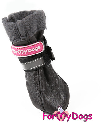 ForMyDogs ������ ������ ����� �� ���� ��� ����� (����)