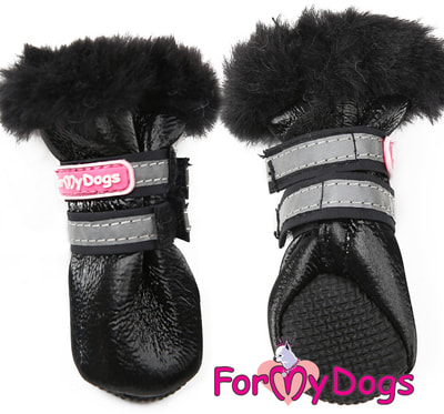 ForMyDogs        ()