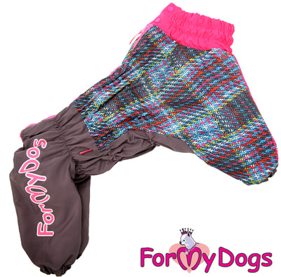 ForMyDogs     -,  ()