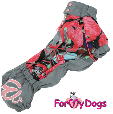 ForMyDogs       ()