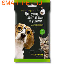 Teddy Pets        