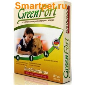 Green Fort       80