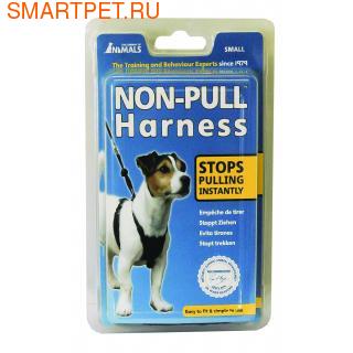 Halti COA Non-Pull Harness - ,    ()