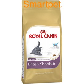 Royal Canin      - Kitten British Shorthair