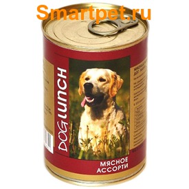 Dog Lunch     