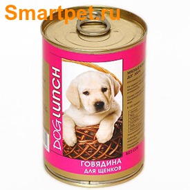 Dog Lunch    