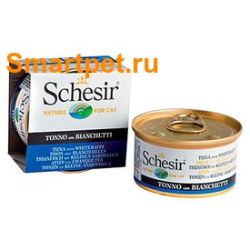 Schesir      